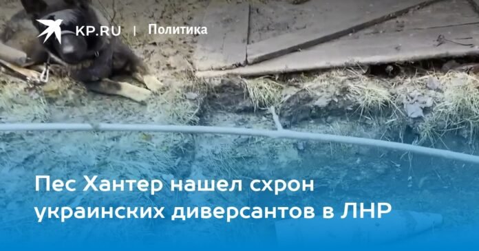 Dog Hunter found a cache of Ukrainian saboteurs in the LPR

