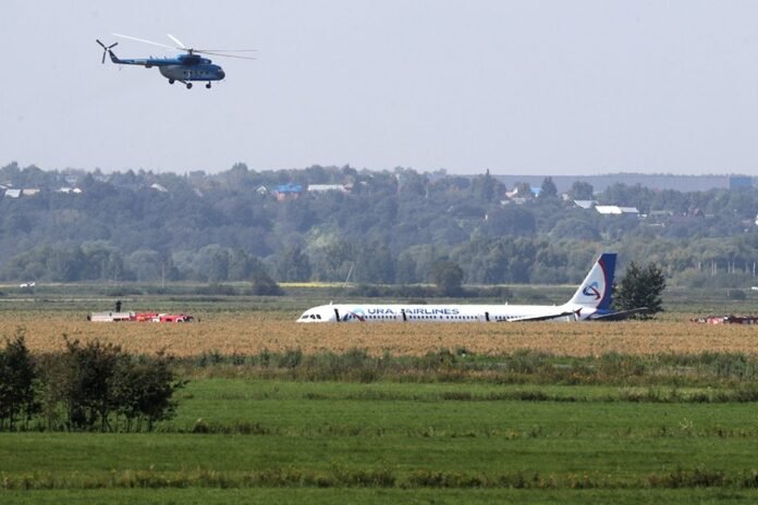 IAC: Seagulls became the reason for the A321 crash landing in a cornfield in the Moscow region in 2019 KXan 36 Daily News

