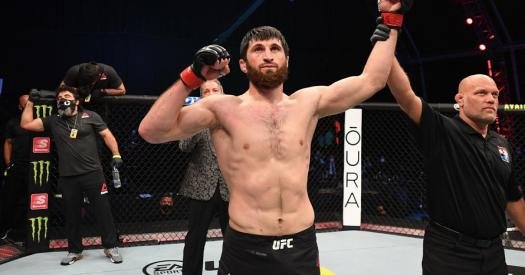  What can Ankalaev expect?  UFC light heavyweight prospect

