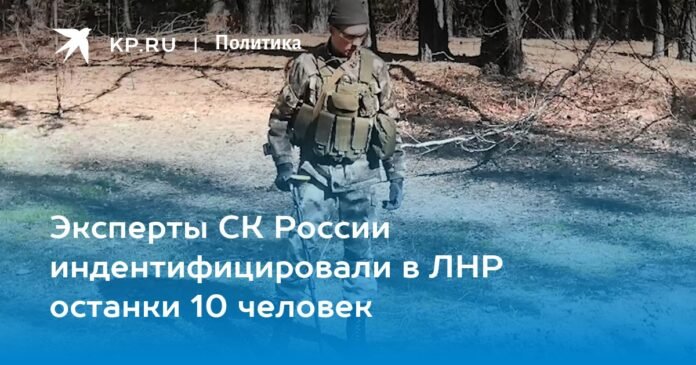 Experts from the Russian Investigative Committee identified the remains of 10 people in the LPR


