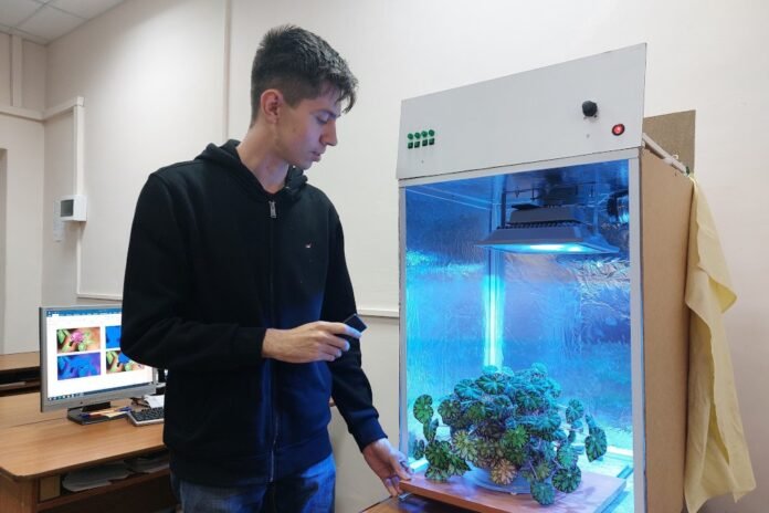Студент Сергей Маркелов научил нейросеть следить за растениями.