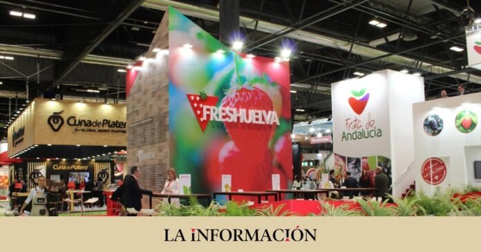 The strawberry from Huelva seeks its designation of origin against future boycotts

