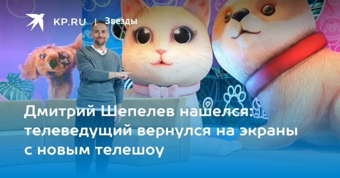 Dmitry Shepelev was found - the TV presenter returned to the screens with a new TV show

