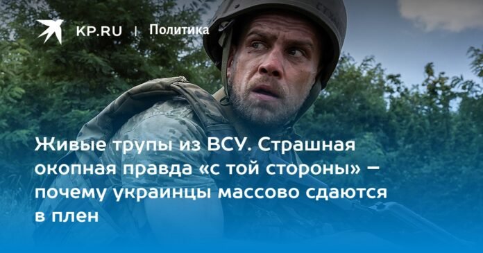  Live corpses of the Armed Forces of Ukraine.  The terrible truth of the trench 