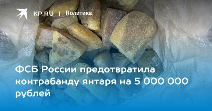 The FSB of Russia prevented the smuggling of amber worth 5,000,000 rubles

