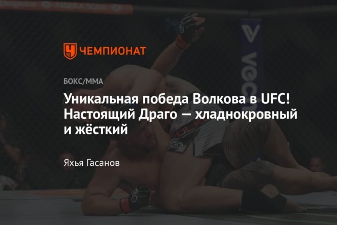  A unique victory for Volkov in the UFC!  The real Drago is tough and cold-blooded.


