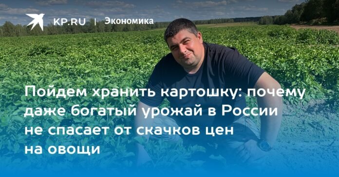 Let's go store potatoes: why even a rich harvest in Russia does not save us from increases in vegetable prices

