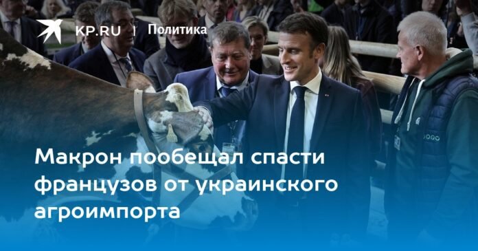 Macron promised to save the French from Ukrainian agricultural imports

