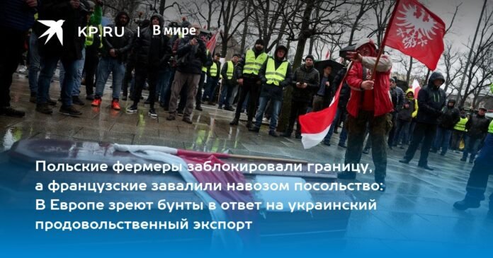 Polish farmers blocked the border and the French filled the embassy with manure: riots brewing in Europe in response to Ukrainian food exports

