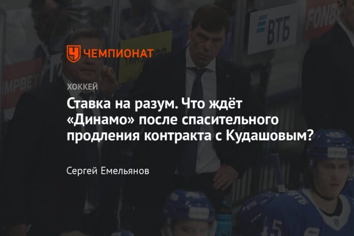  Bet on the mind.  What awaits Dinamo after the extension of the contract with Kudashov that saved his life?

