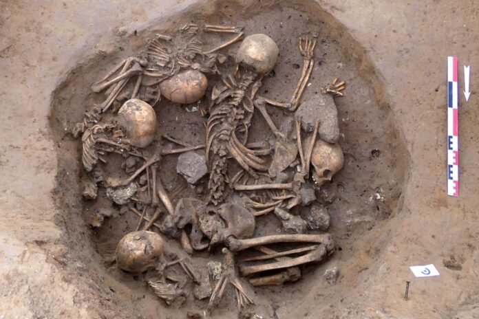 Shocking burial found in France - Rossiyskaya Gazeta

