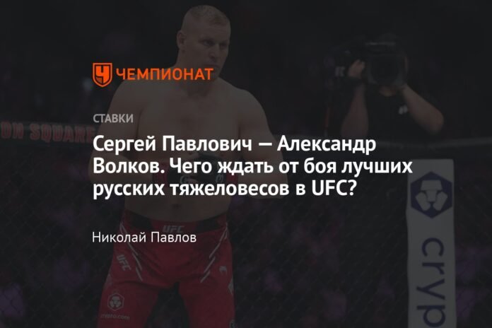  Sergei Pavlovich - Alexander Volkov.  What to expect from the fight of the best Russian heavyweights in the UFC?

