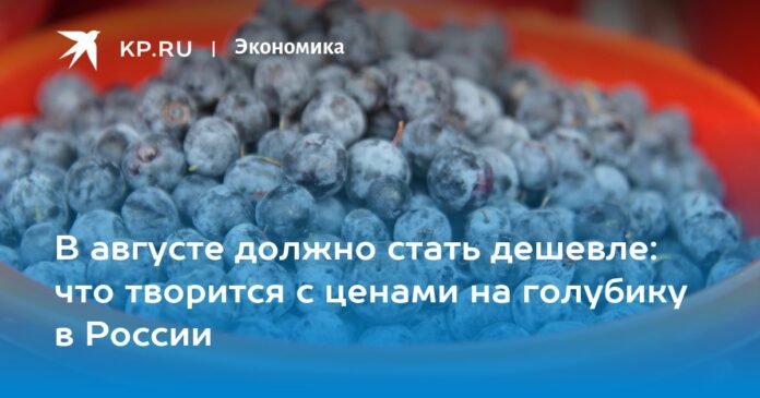 It should be cheaper in August: what is happening with blueberry prices in Russia?


