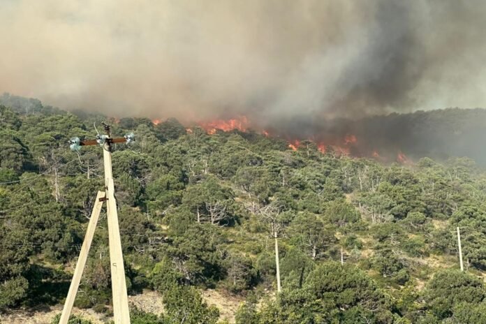 Residents of Durso farm warned about possible evacuation due to fire - Rossiyskaya Gazeta

