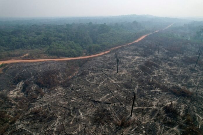 Suspects arrested in Brazil forest fire - Rossiyskaya Gazeta

