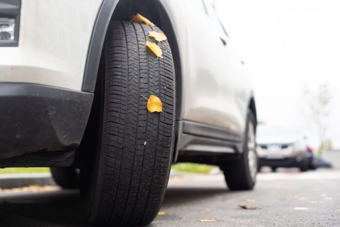 The expert mentions 5 reasons why you should not use all-season tires in winter - Rossiyskaya Gazeta

